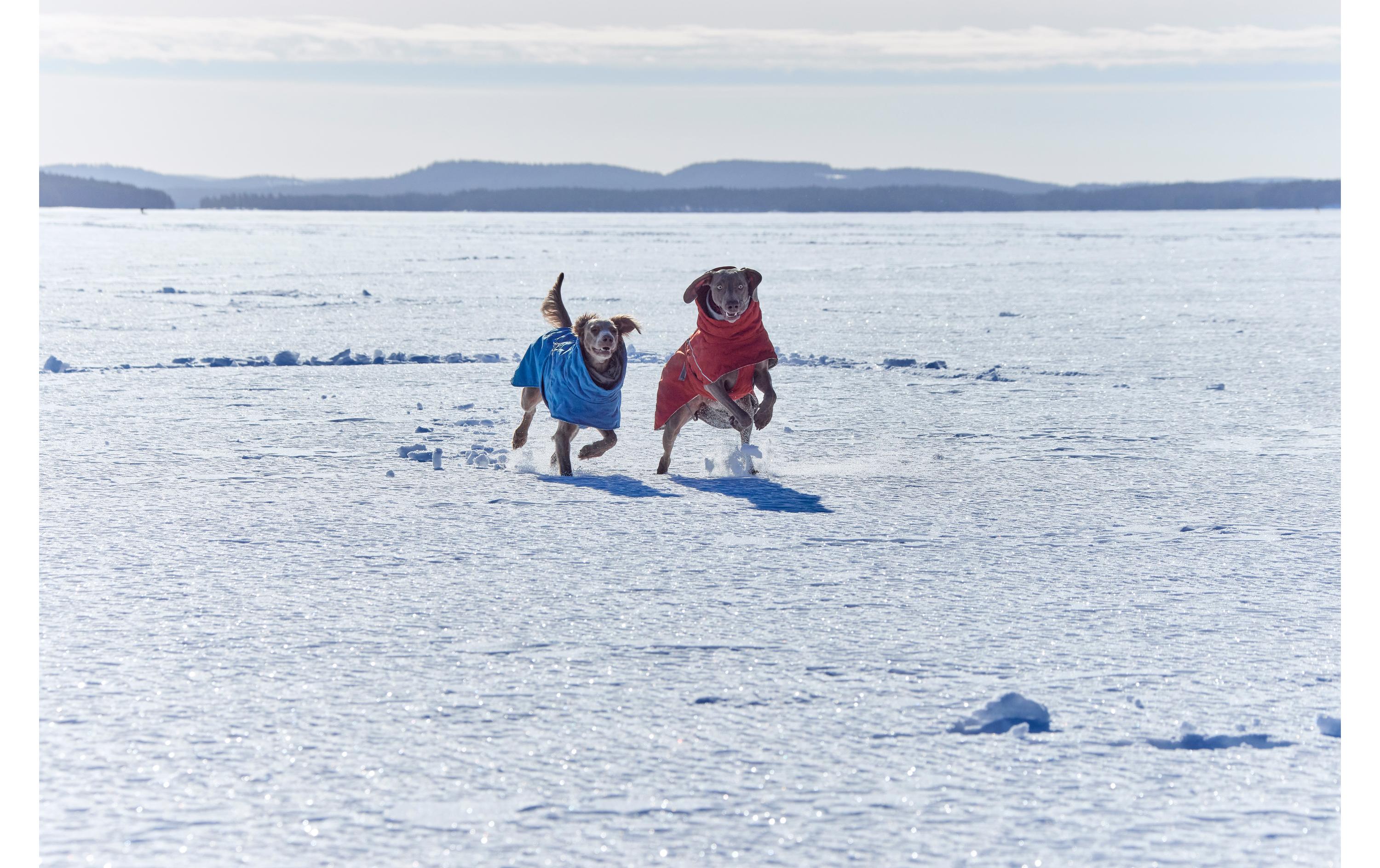 HURTTA Extreme Warmer V3 Eco Blau, 40 cm HURTTA Extreme Warmer V3 Eco Blau, 40 cm