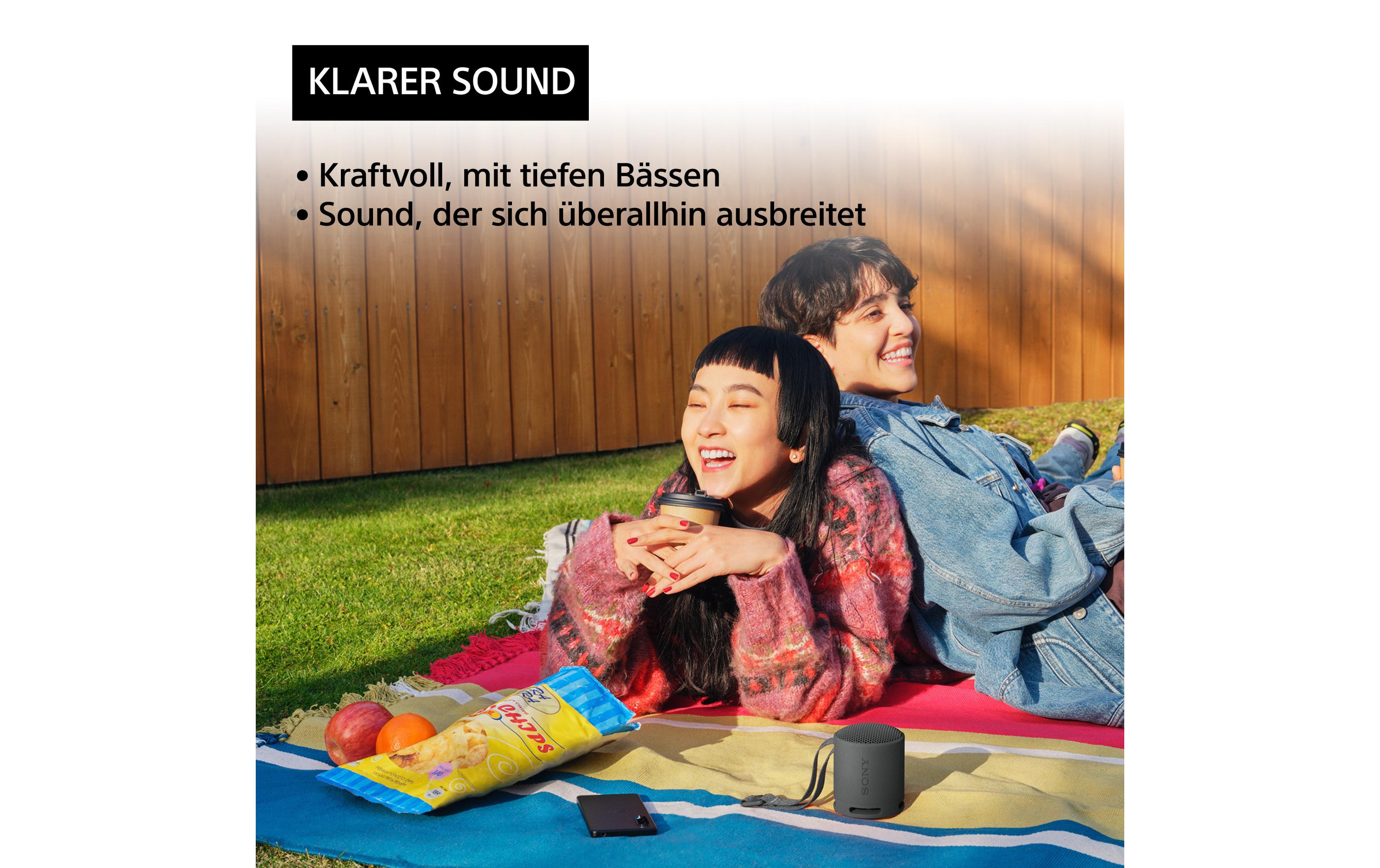 Sony Bluetooth Speaker SRS-XB100 Schwarz