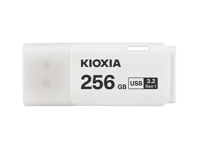 Kioxia USB-Stick TransMemory U301 256 GB
