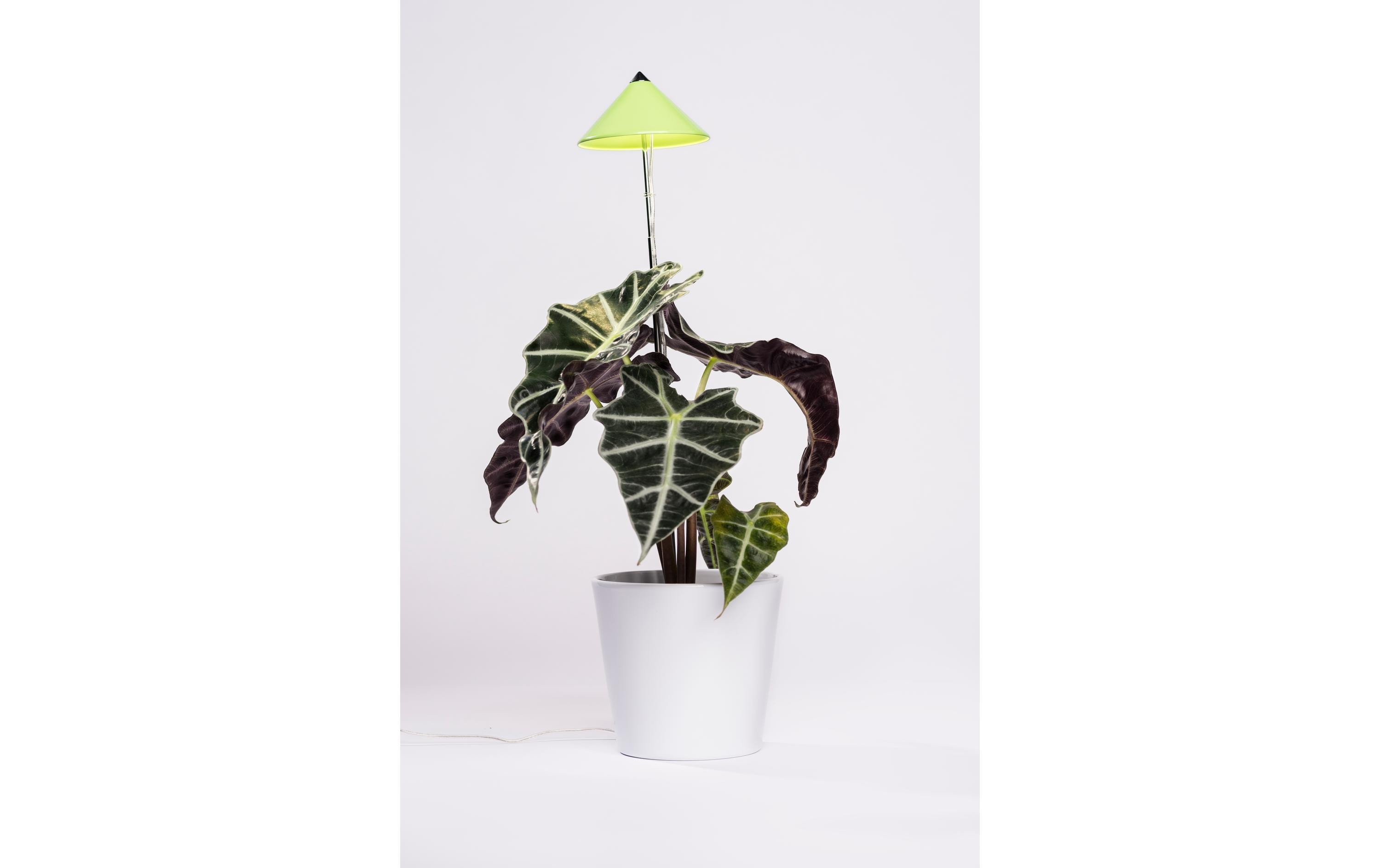 Venso Solutions Pflanzenleuchte SunLite 7 W, Grün