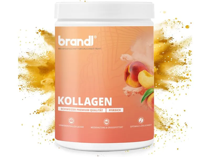Brandl-Nutrition Pulver Kollagen Pfirsich 550 g