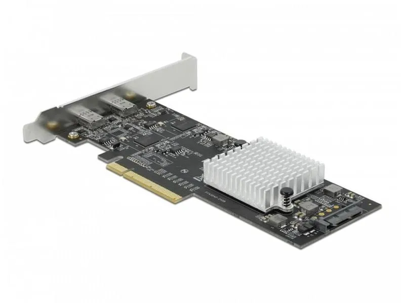 Delock PCI-Express-Karte USB 3.2 Gen2x2 - 2x USB-C