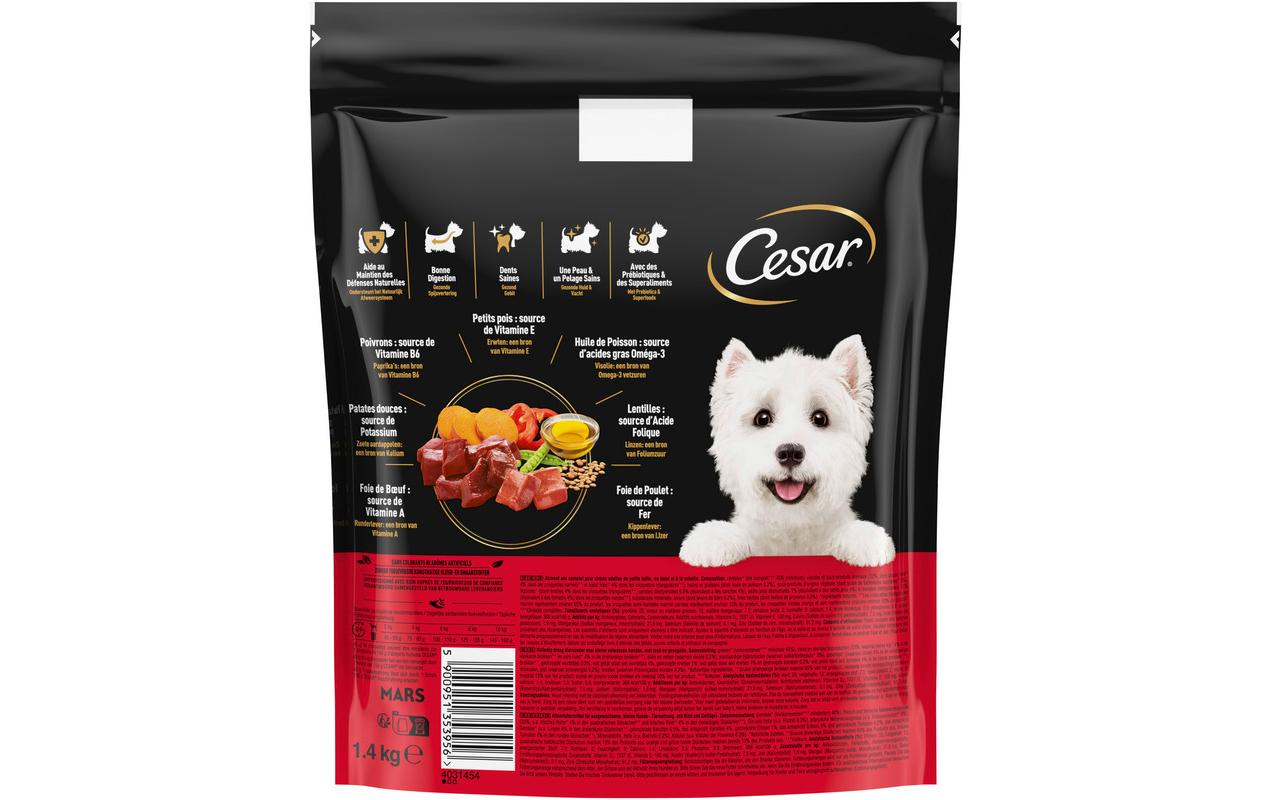 Cesar Trockenfutter Hunters Platter Rind, 1.4 kg