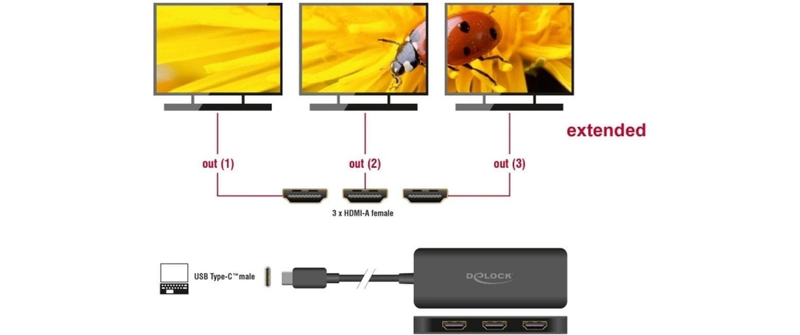 Delock 3-Port Signalsplitter 4K 30 Hz, USB-C - 3x HDMI