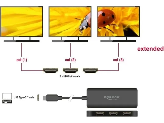 Delock 3-Port Signalsplitter 4K 30 Hz, USB-C - 3x HDMI Delock 3-Port Signalsplitter 4K 30 Hz, USB-C - 3x HDMI