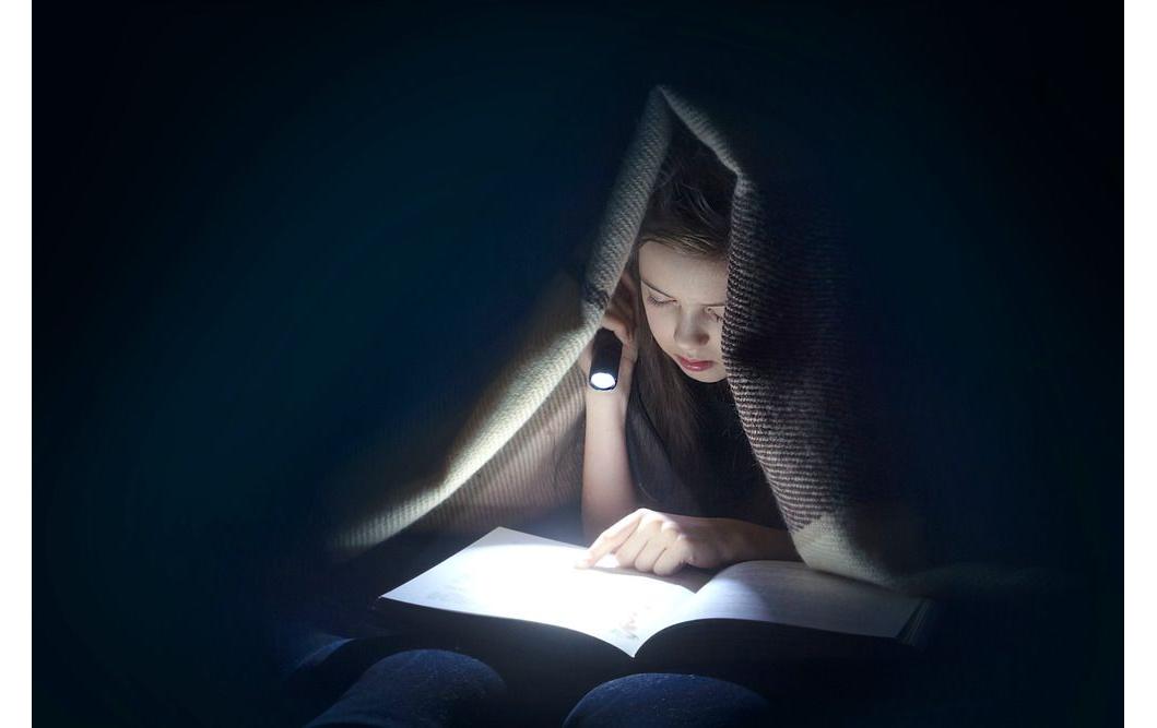 Ansmann Taschenlampe Daily Use 50B