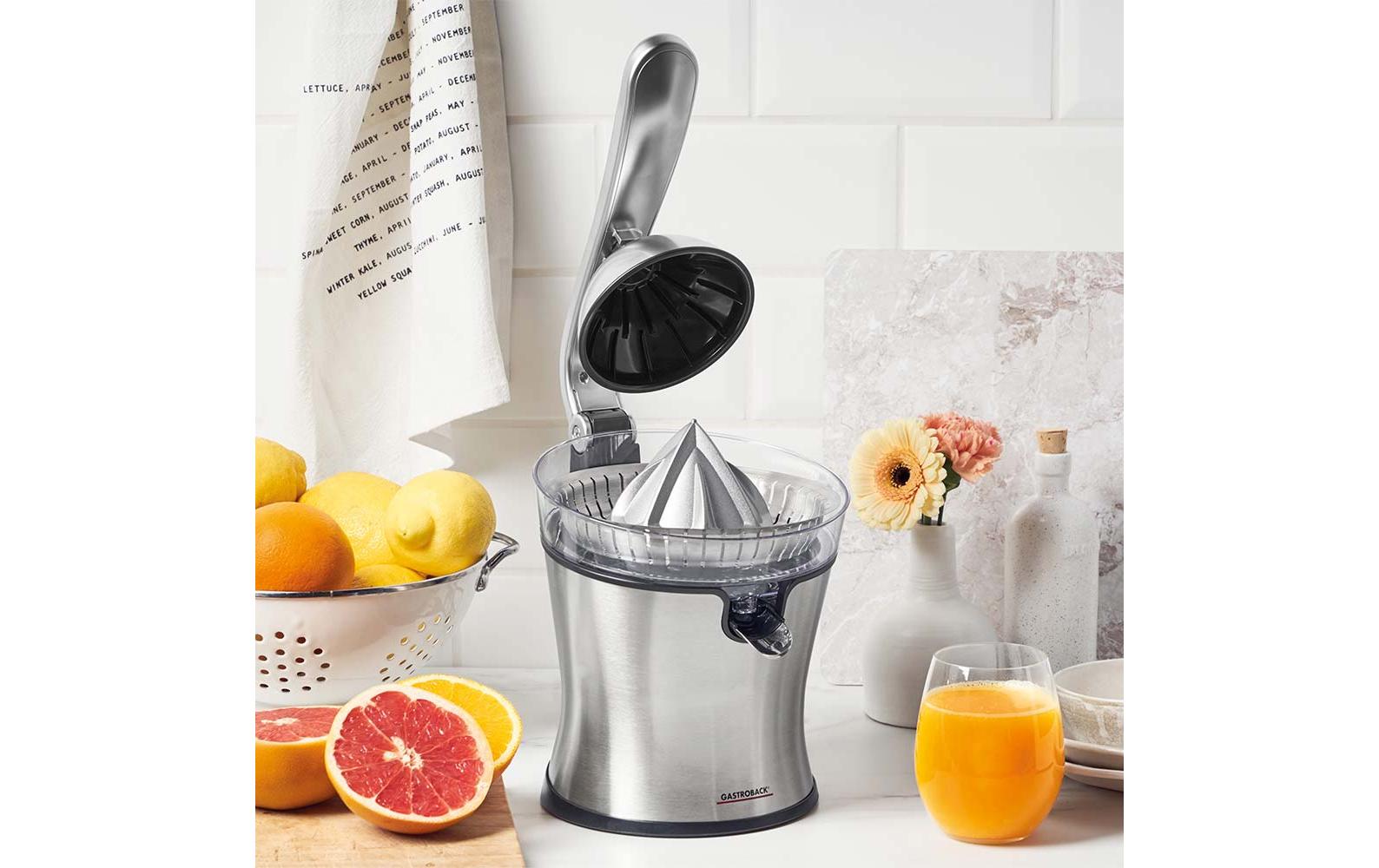 Gastroback Zitruspresse Advanced Pro S Silber