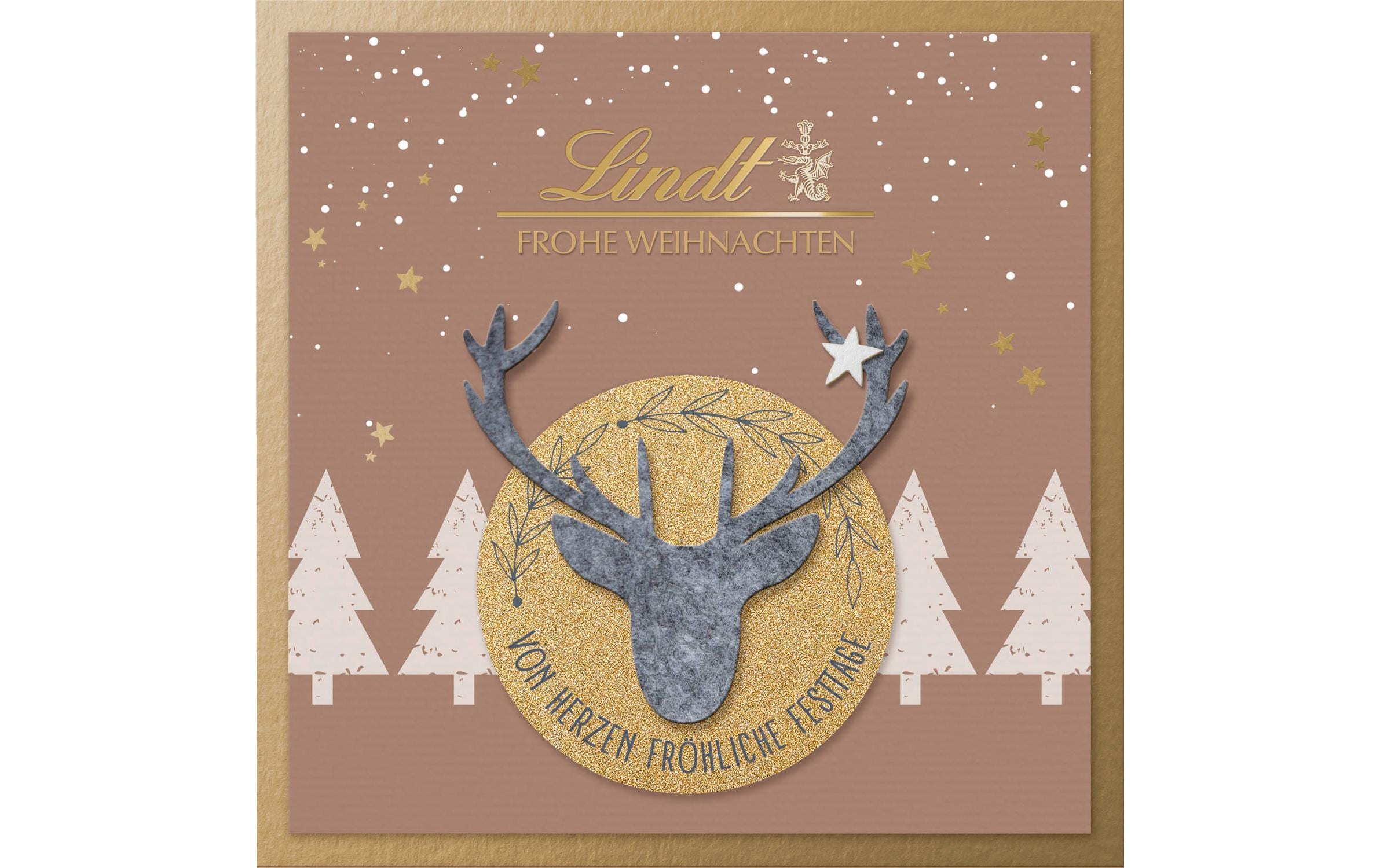 Lindt Pralinés Filz Edition Weihnachten 175 g