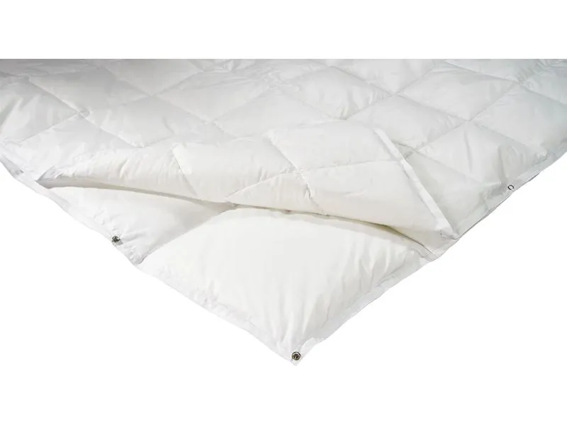 Billerbeck Duvet Recycled Goose 4-Saisons 200 x 210 cm