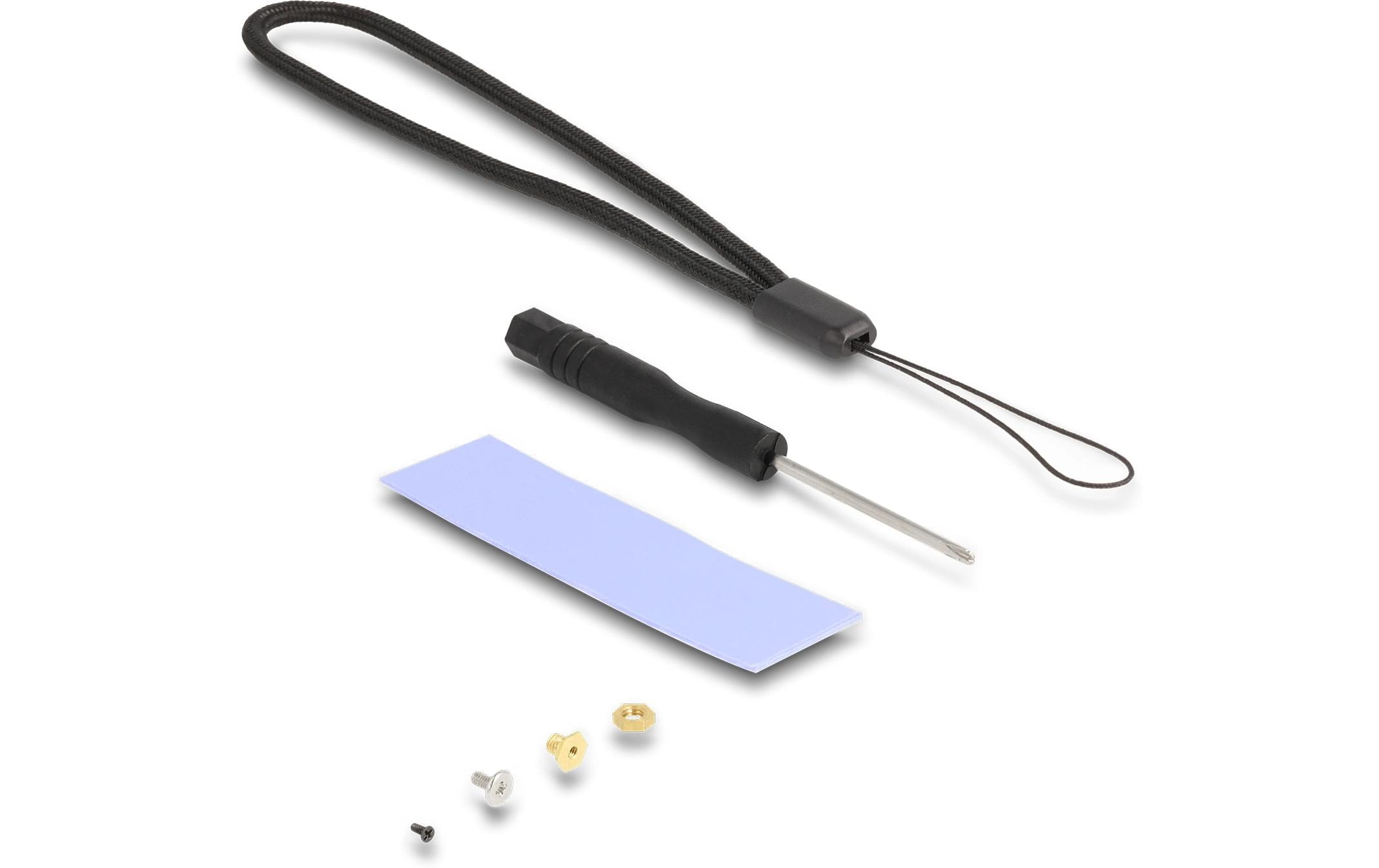 Delock Externes Gehäuse M.2 NVMe PCIe SSD, SATA SSD mit USB-A