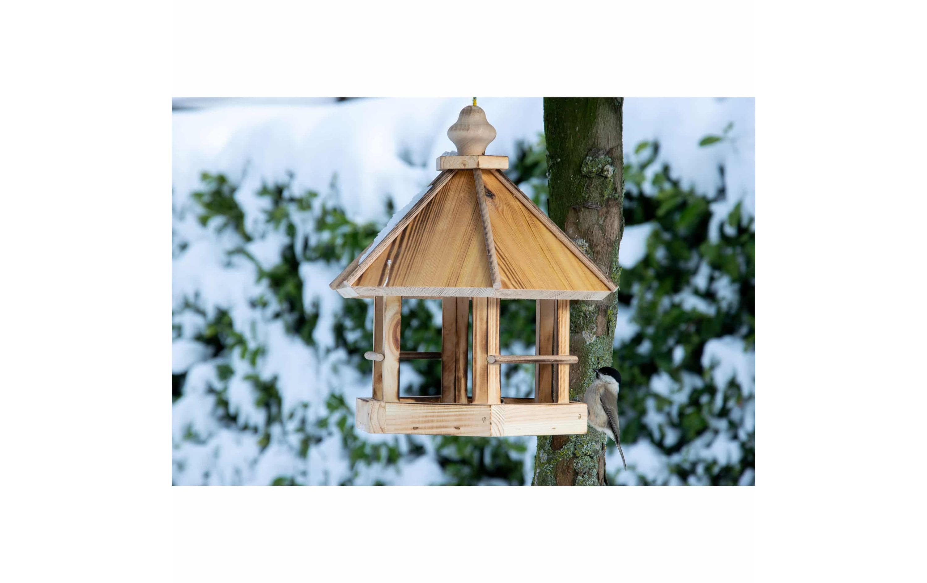 dobar green label Futterspender Caliente zum Aufhängen, 29 x 29 x 34 cm, Holz