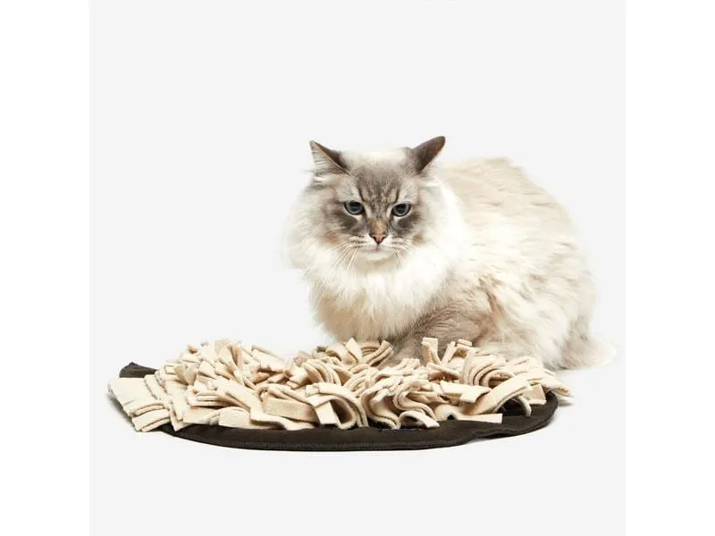 KNAUDER'S BEST Katzen-Spielzeug Schnüffelrasen, Braun KNAUDER'S BEST Katzen-Spielzeug Schnüffelrasen, Braun