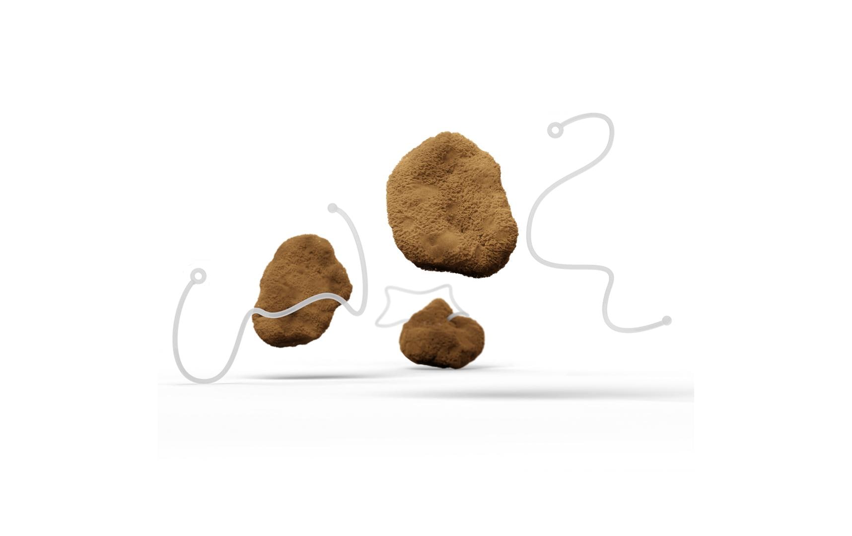 Hera Organics Menstruationsschwamm Faden Gr. M Hera Organics Menstruationsschwamm Faden Gr. M