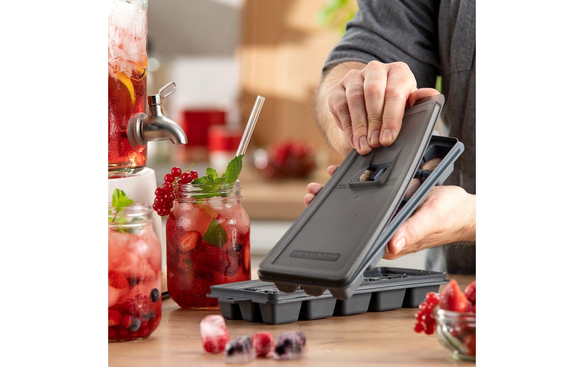 Fackelmann Eiswürfelform mit Deckel Statement Grau