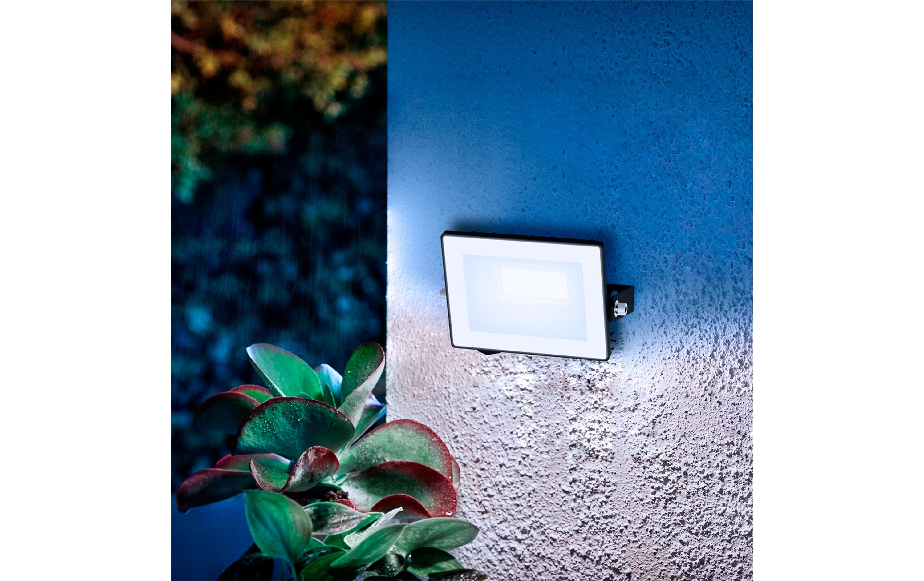 Philips Lois Flutlicht 10W 5000K IP65 10 W