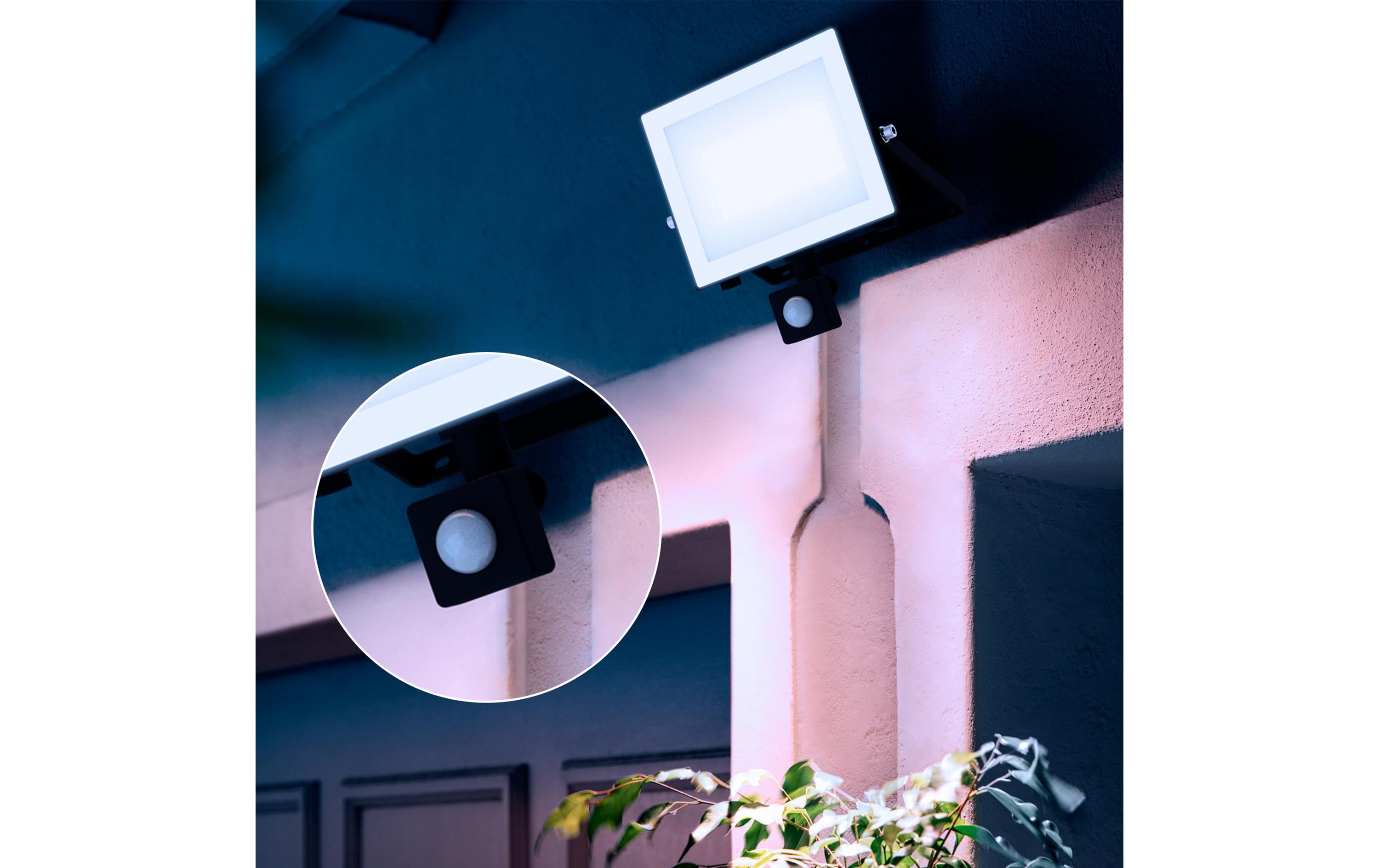 Philips Lois Flutlicht 50W 5000K IR IP65 schwarz 50 W