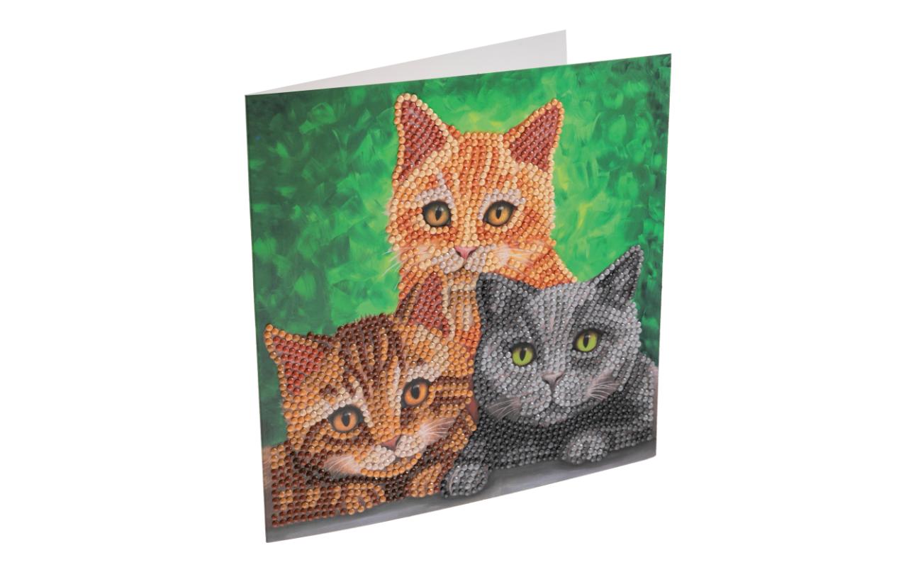 CRAFT Buddy Bastelset Crystal Art Card Katzen