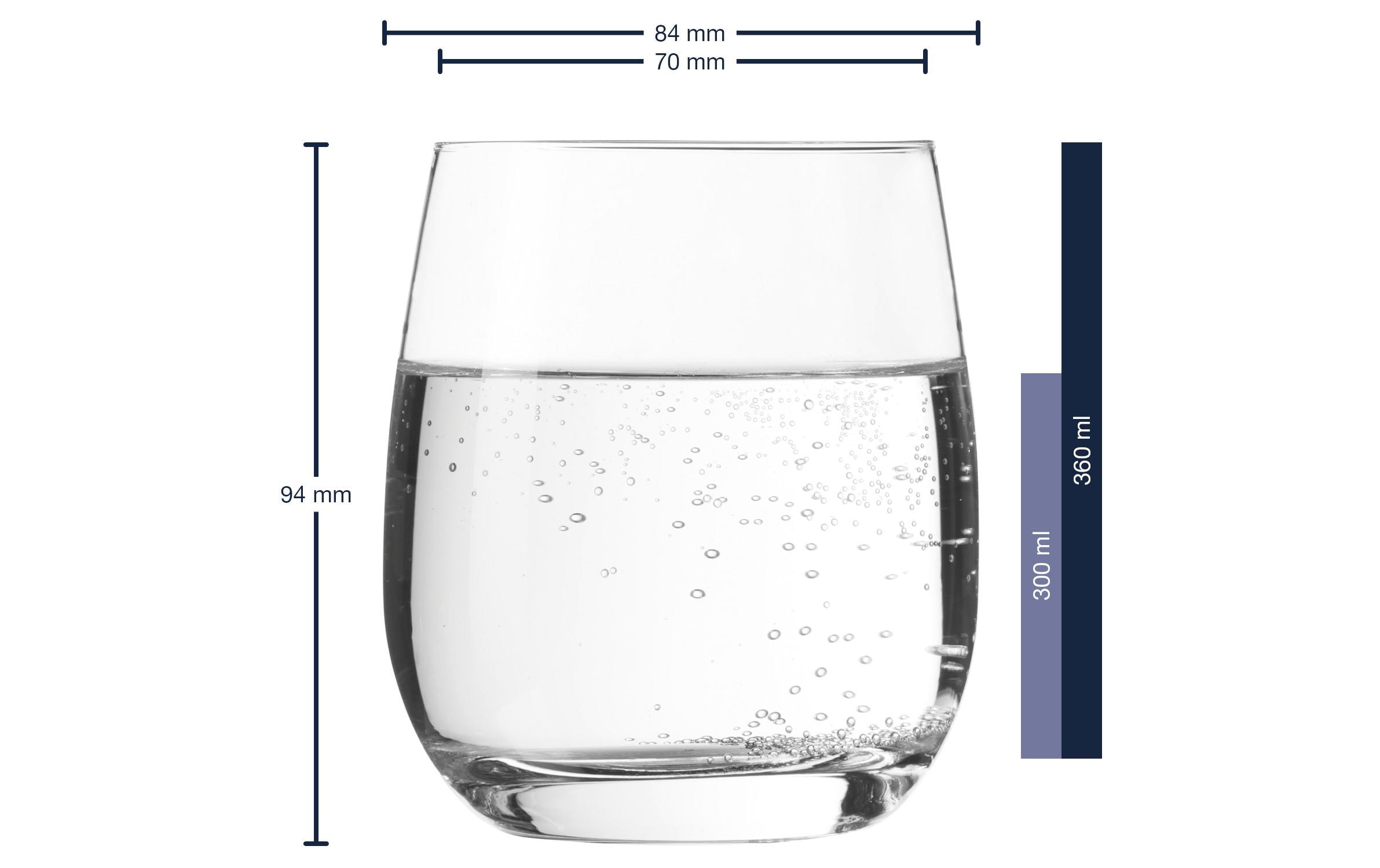Leonardo Whiskyglas Tivoli 360 ml, 6 Stück, Transparent 