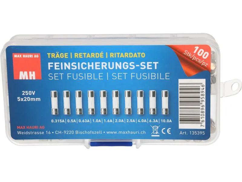 Max Hauri Schmelzsicherung Set 5 x 20 mm Träge, 100 Stück Max Hauri Schmelzsicherung Set 5 x 20 mm Träge, 100 Stück