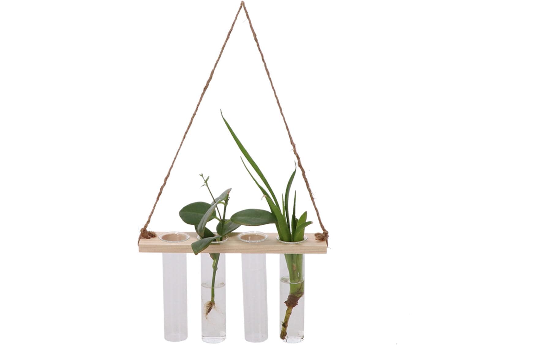 Esschert Design Reagenzglashänger S 13 cm, Nature/Transparent