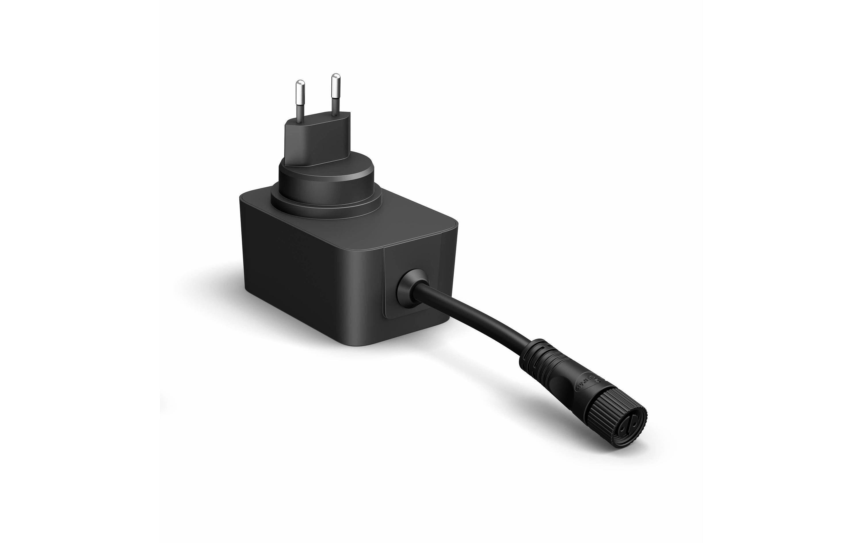 Philips Hue Festavia Lichterkette 20 m 250 LEDs CH