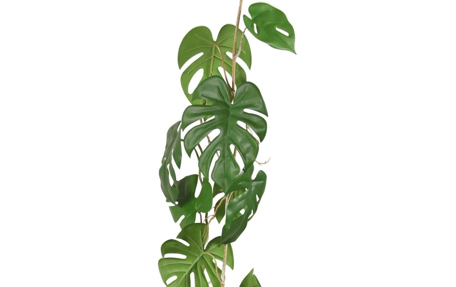 Botanic-Haus Kunstpflanze Monstera 110 cm