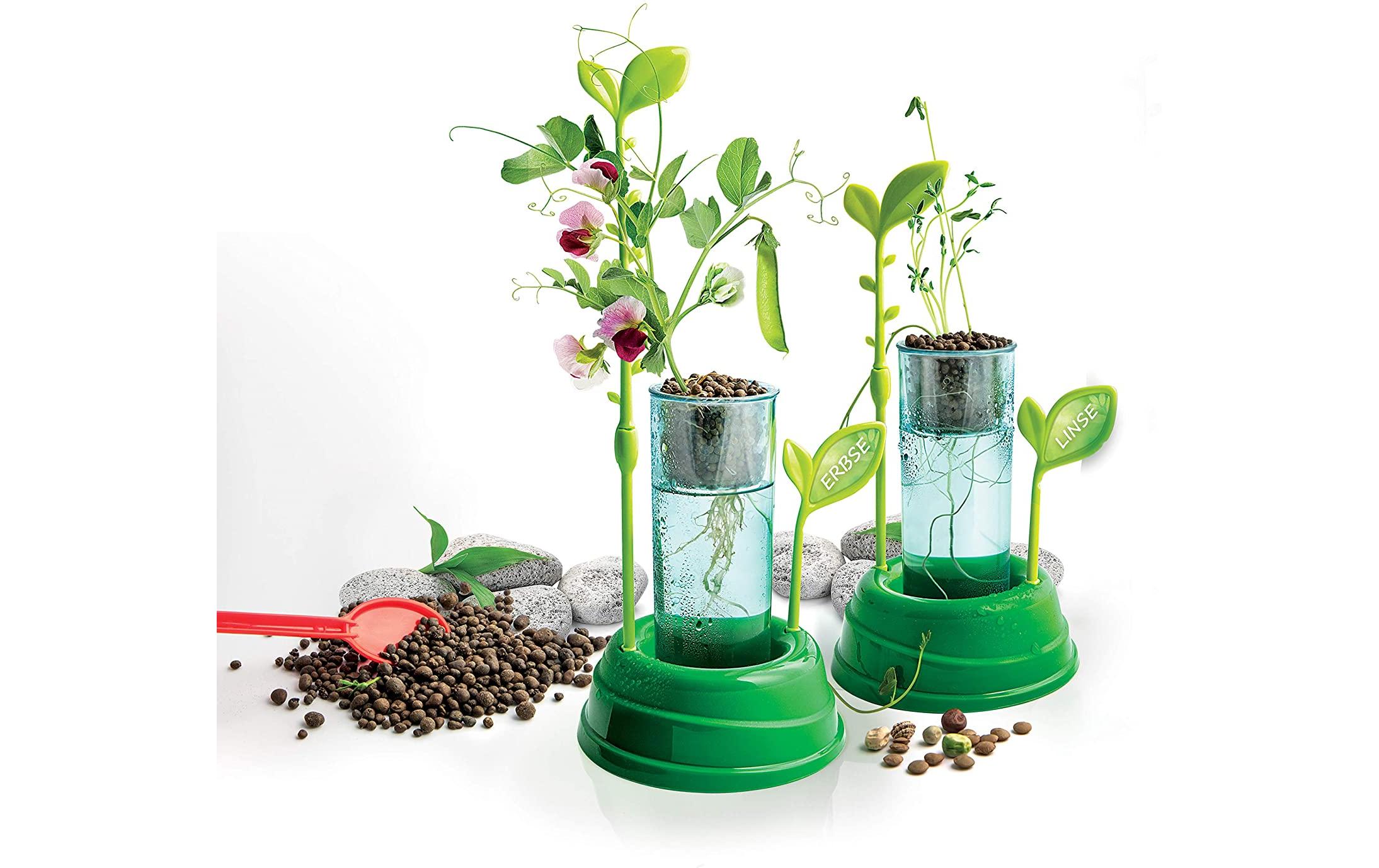 Clementoni Experimentierkasten Galileo - Hydrokultur-Gewächshaus