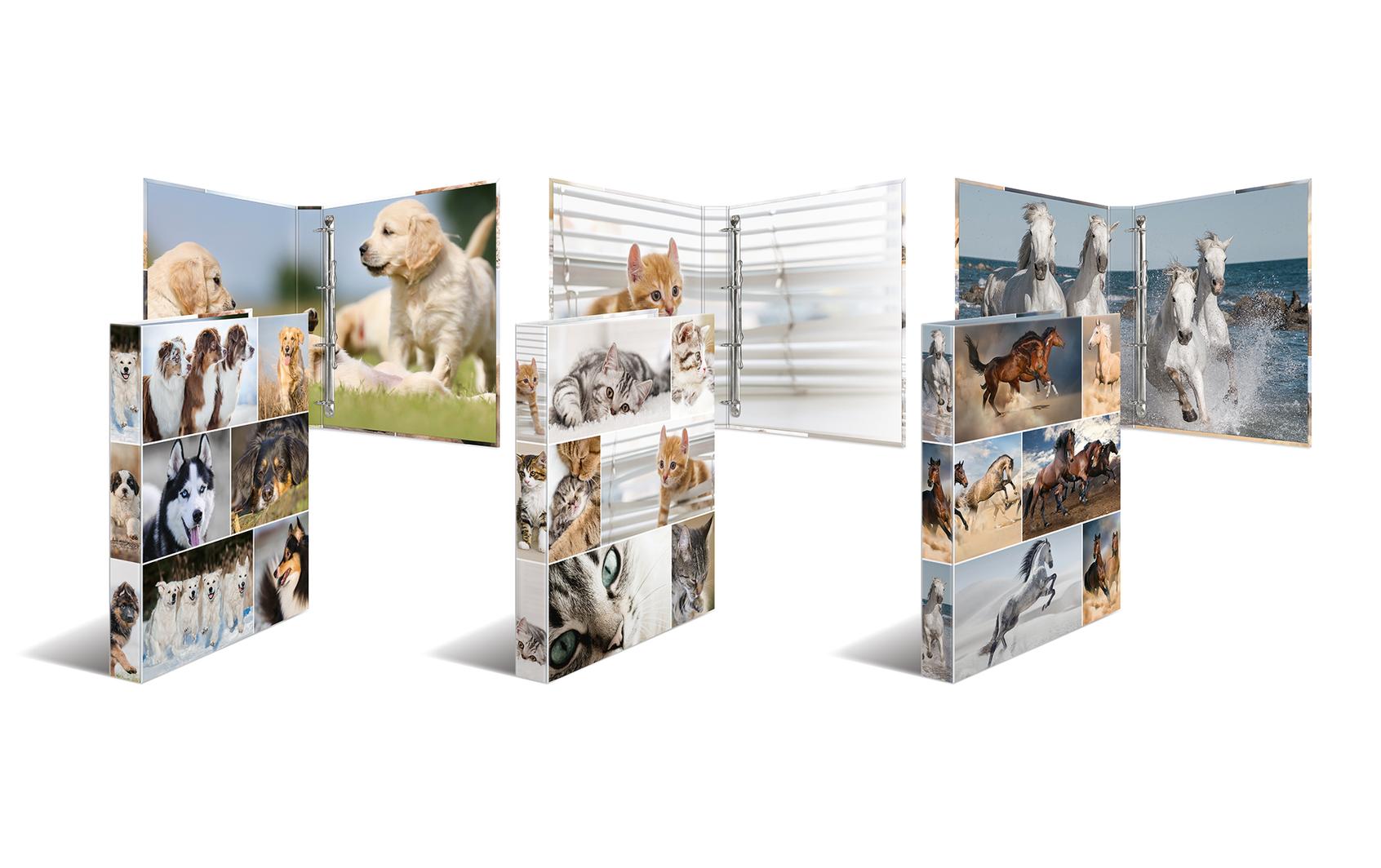 HERMA Pferde 4-Ring 3.5 cm