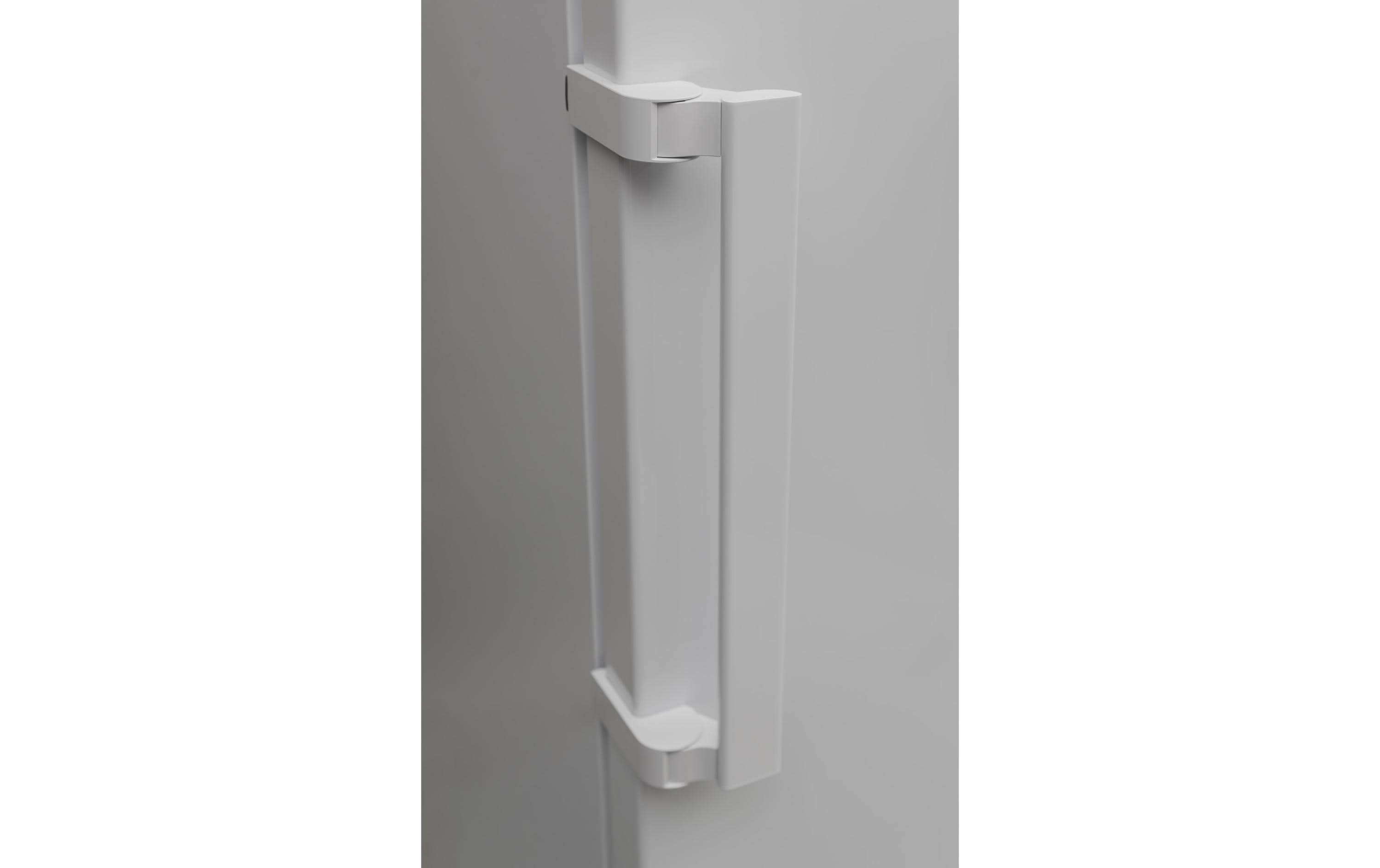 Sharp Kühlschrank SJ-LC11CMXWD-EU Rechts