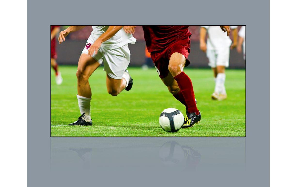 Optoma Rahmenleinwand ALR101 221.4x124.5 cm 16:9