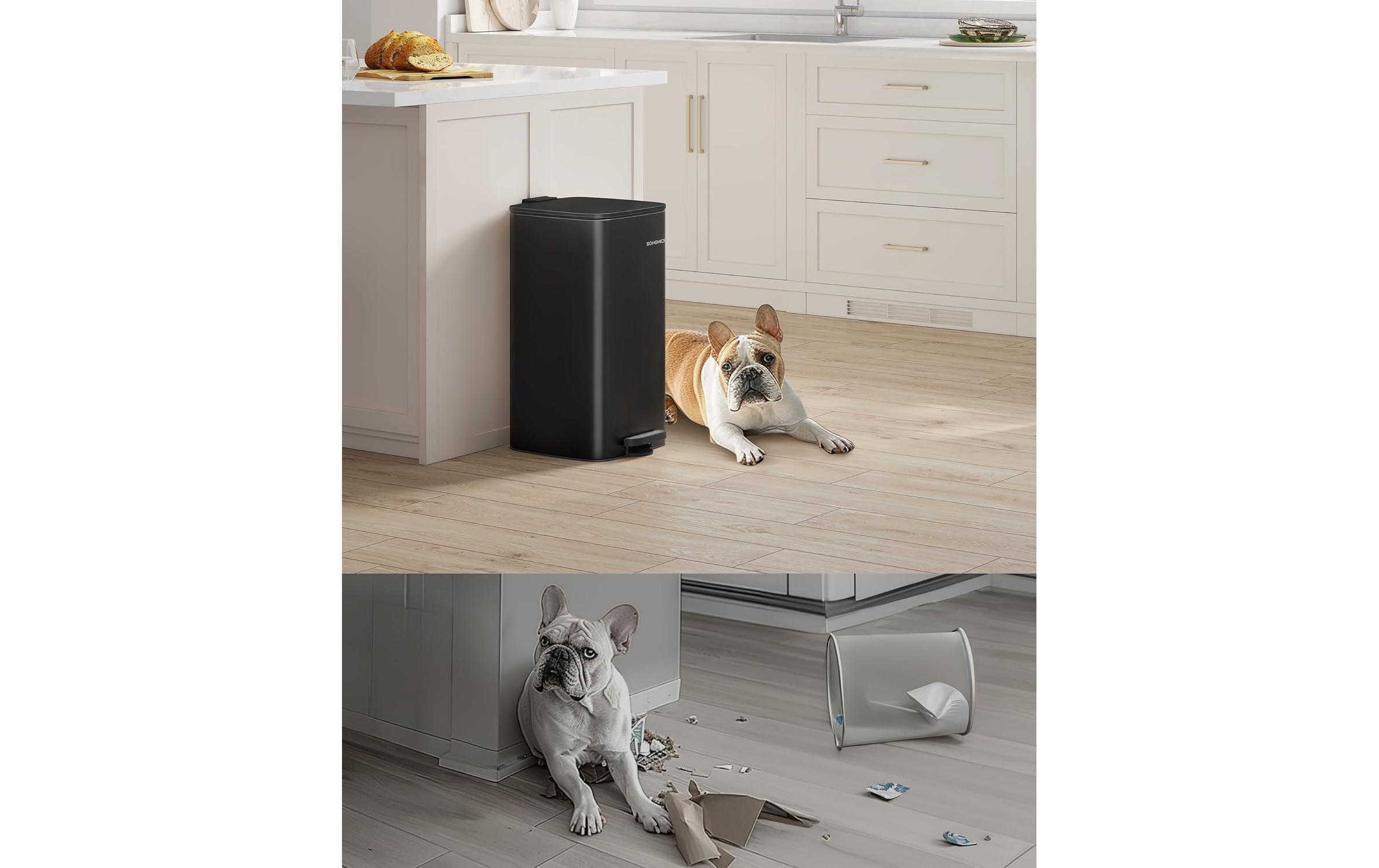 Songmics Abfalleimer 20 l, Schwarz