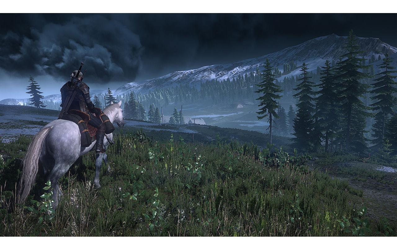 Bandai Namco The Witcher 3: Wild Hunt