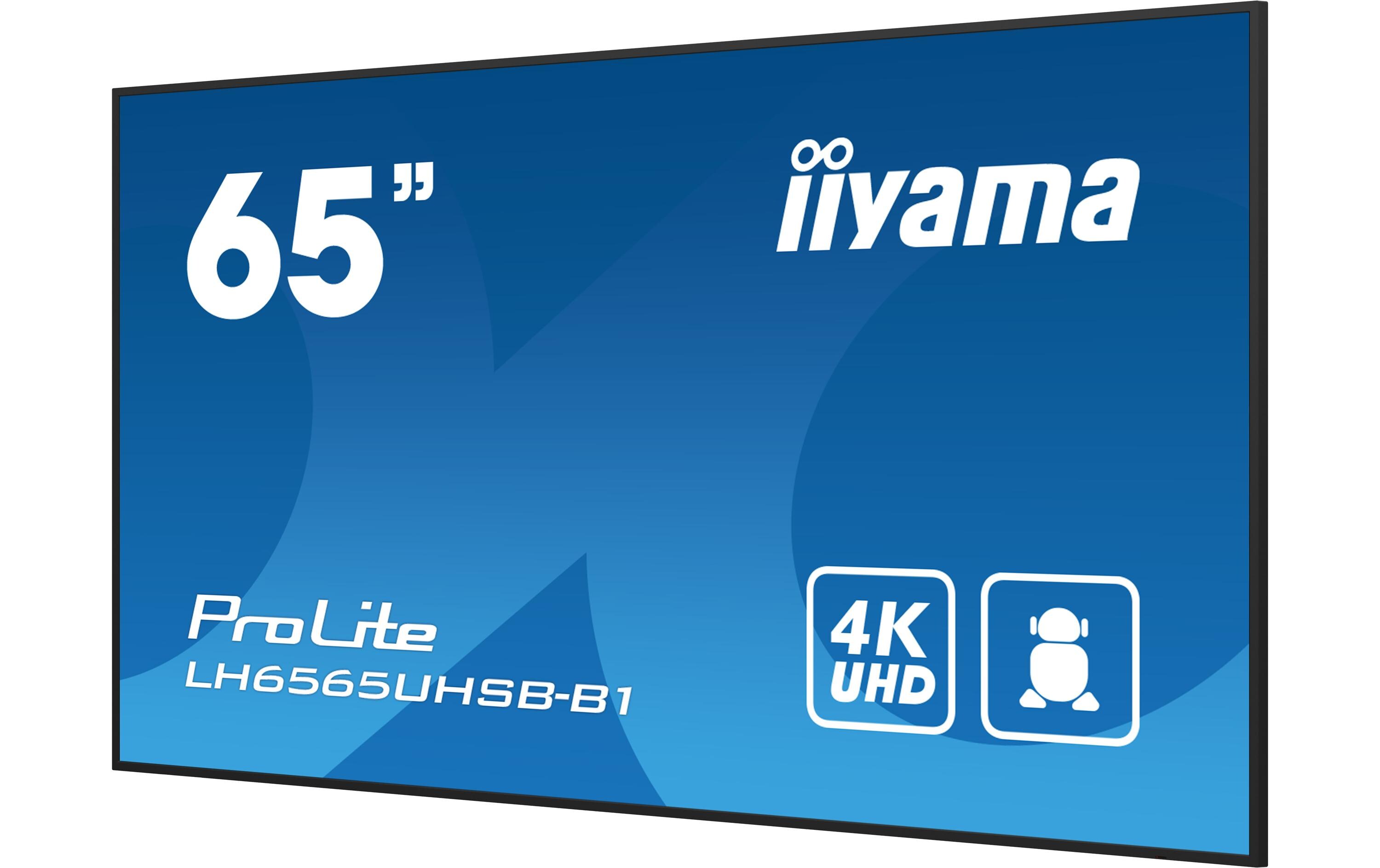 iiyama Public Display Pro Lite LH6565UHSB-B1 64.5