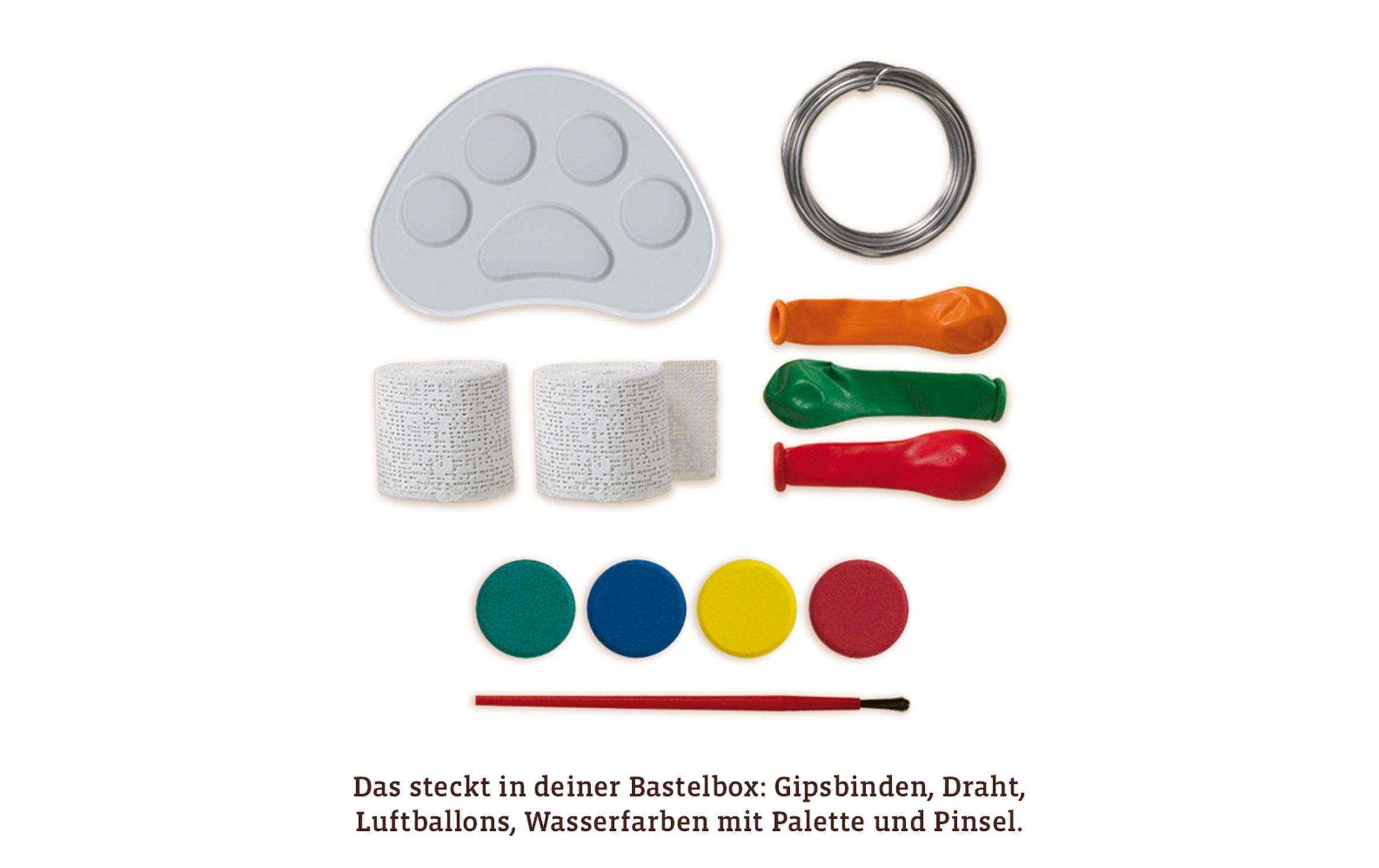 Kosmos Bastelbox Gips-Skulptur