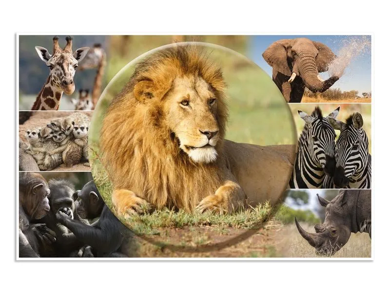 HERMA Schreibunterlage Afrika Tiere 55 x 35 cm