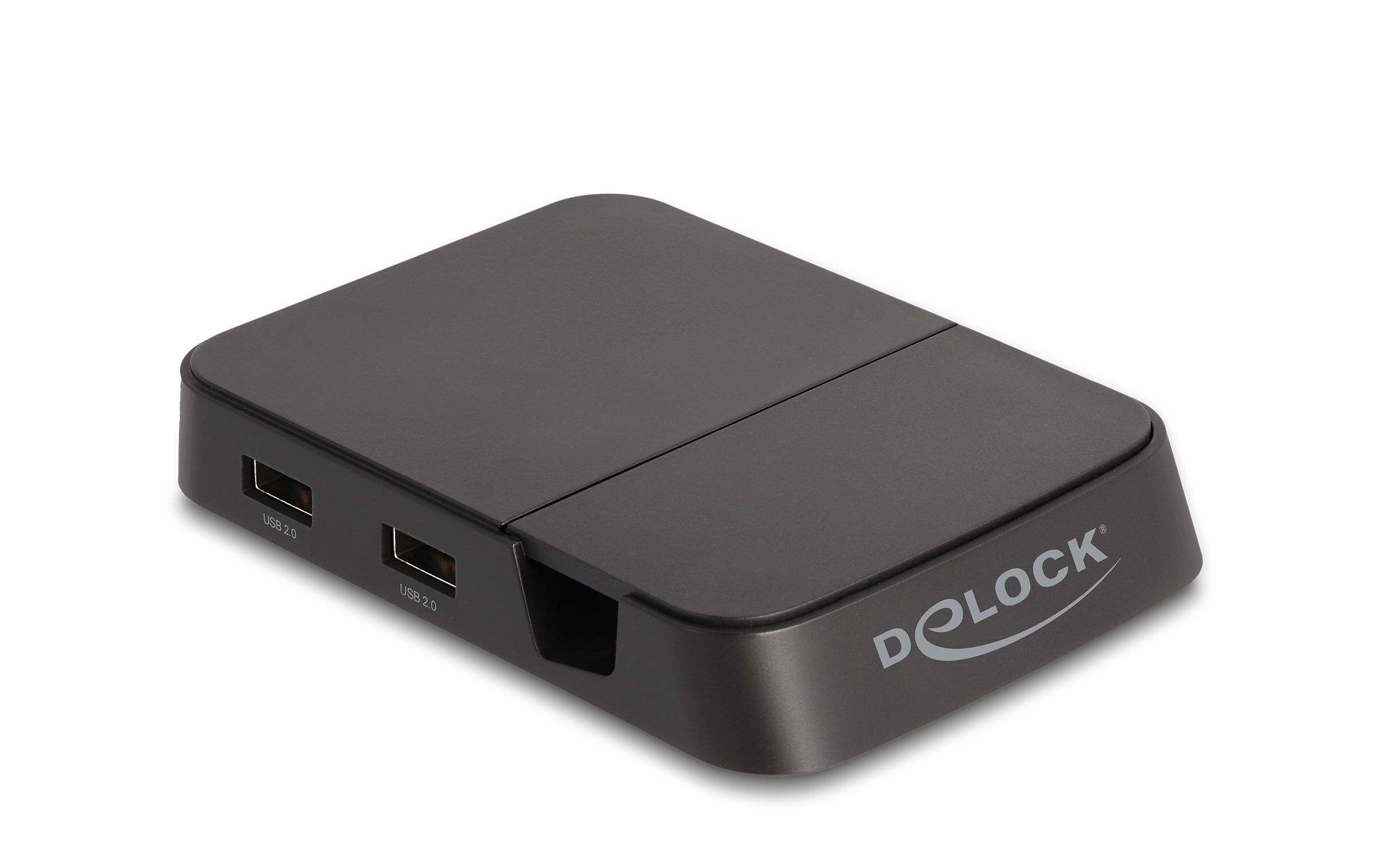 Delock Dockingstation 4K mit integrierter Halterung