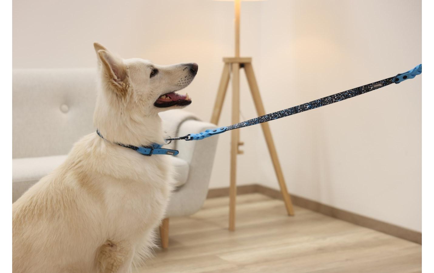 Kerbl Hundeleine Lima 25 mm x 100 cm