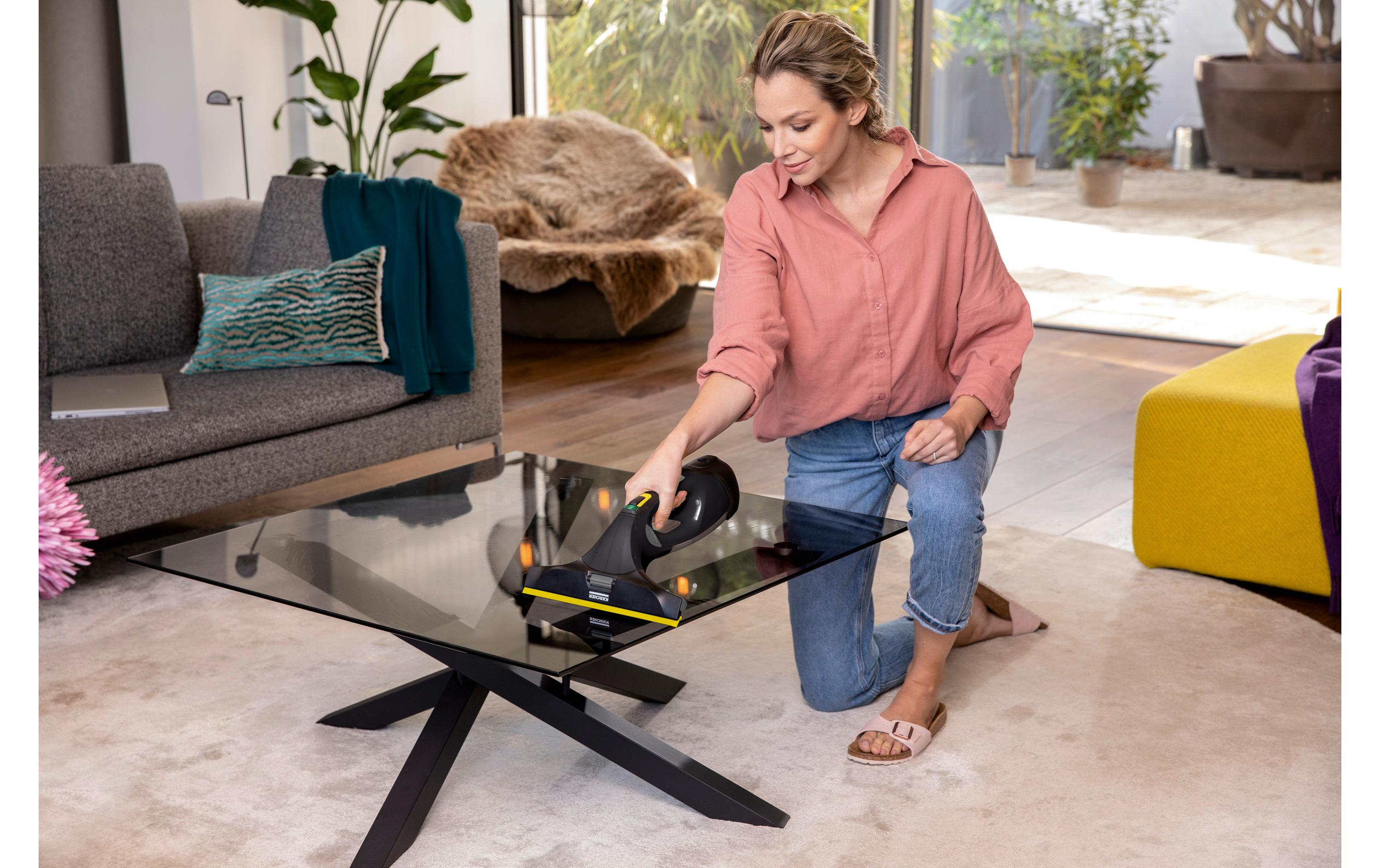 Kärcher Fenstersauger WV 5 Plus Anniversary Edition Schwarz