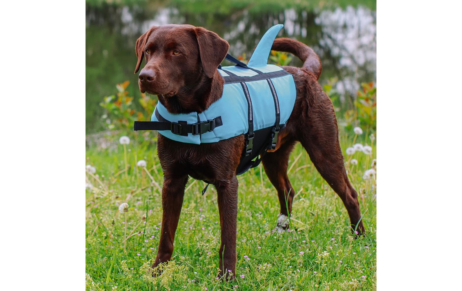 Nobby Schwimmweste Sharki L, 40 cm, Blau