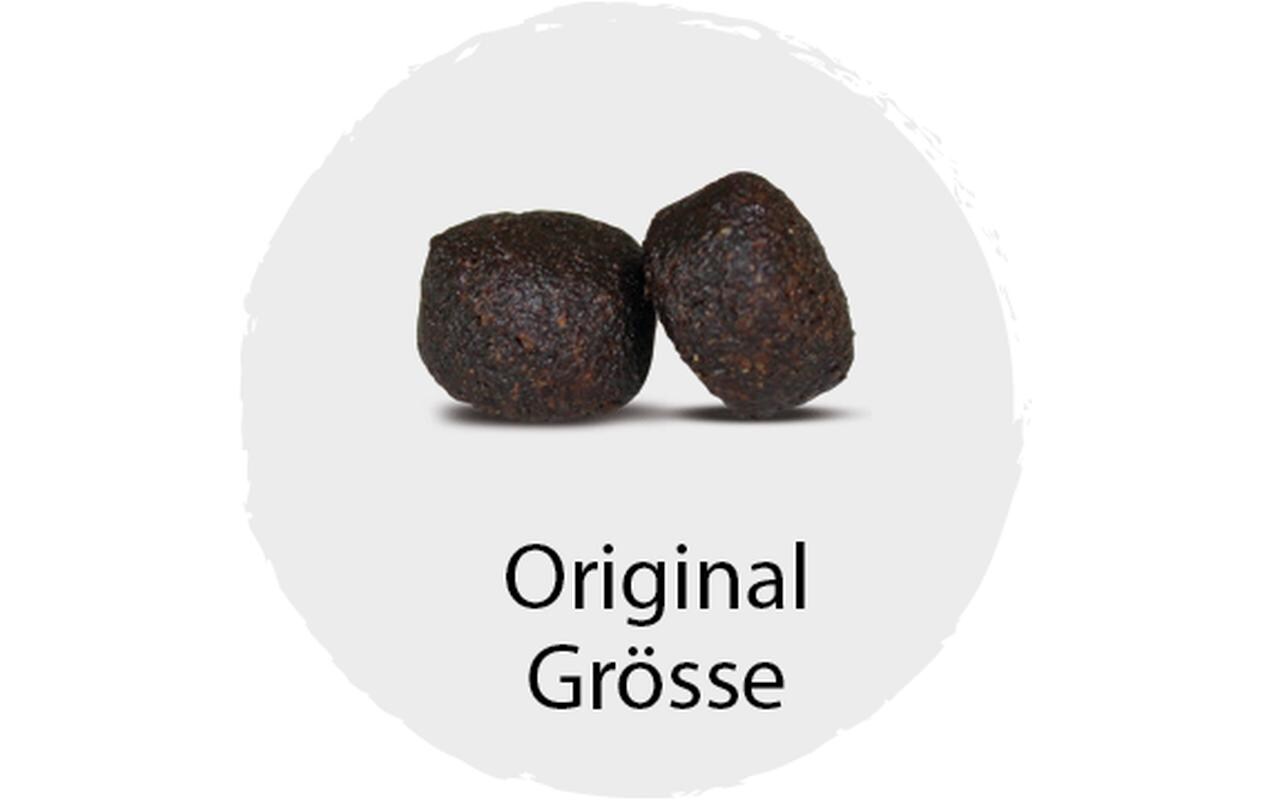 kyli Halbfeuchtfutter SoftFresh Turkey Mini, 1.5 kg