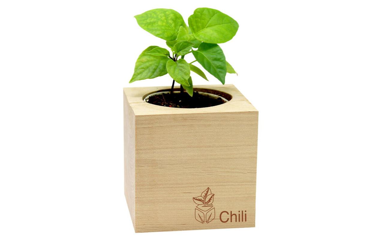 Feel Green Ecocube Chili BIO