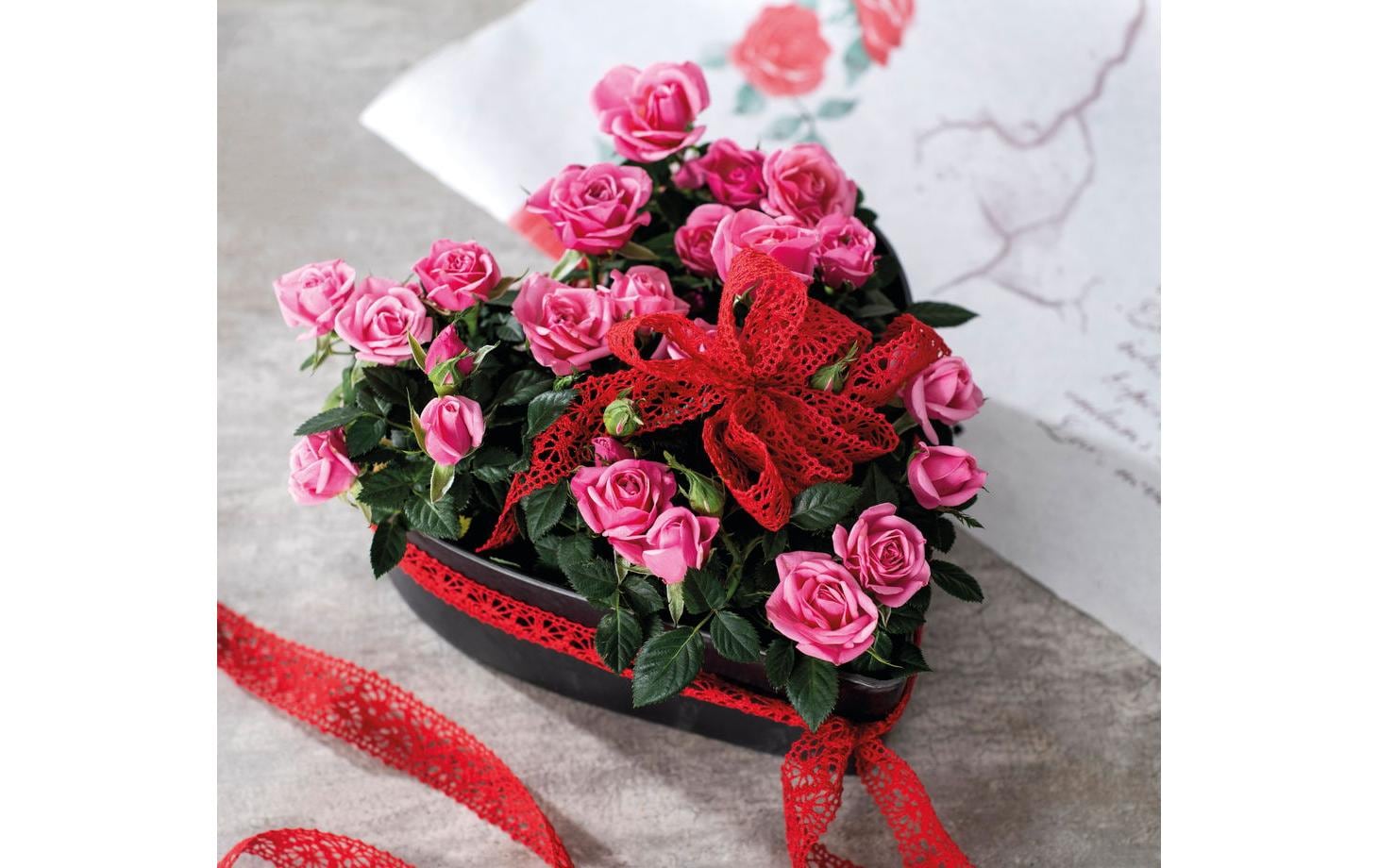 Opiflor Pflanzschale Sabina 24 x 25 x 7.5 cm