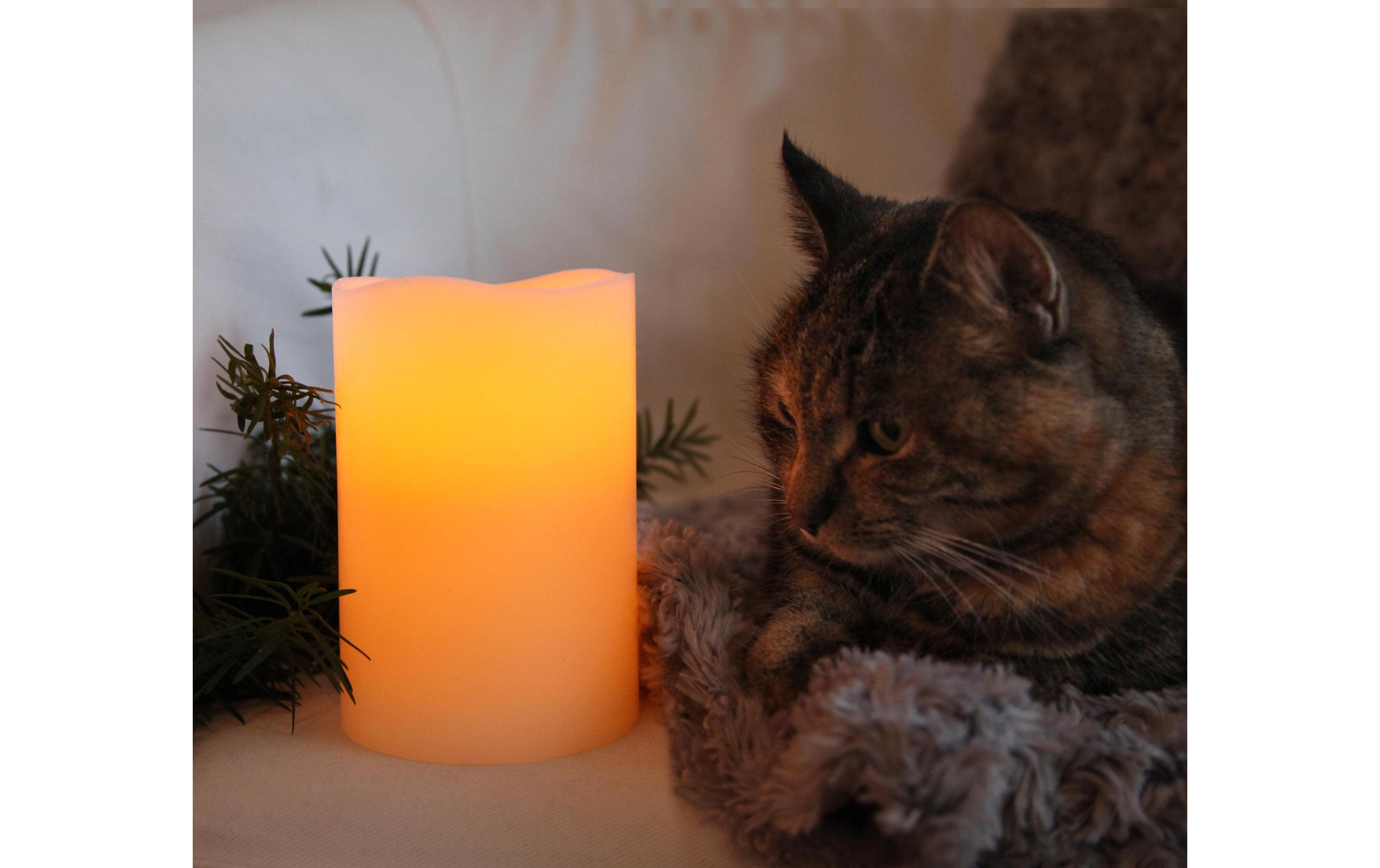 Star Trading LED-Kerze Big Ø 10 x 15 cm, Beige