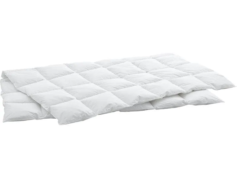 Swiss Dream by Billerbeck Duvet Caro Light 160 x 210 cm