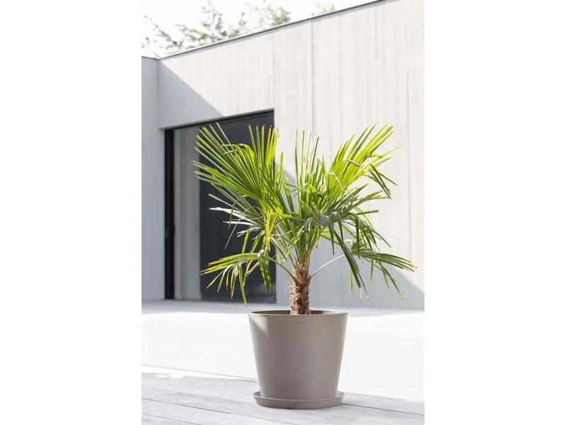 Ecopots Pflanzentopf Amsterdam 40, French Taupe Ecopots Pflanzentopf Amsterdam 40, French Taupe