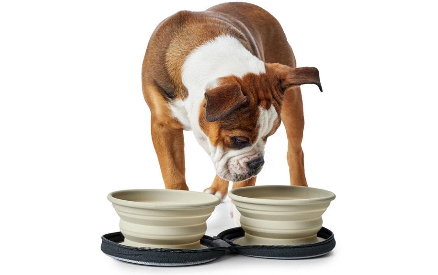 Hunter Reisenapf List mit Tasche