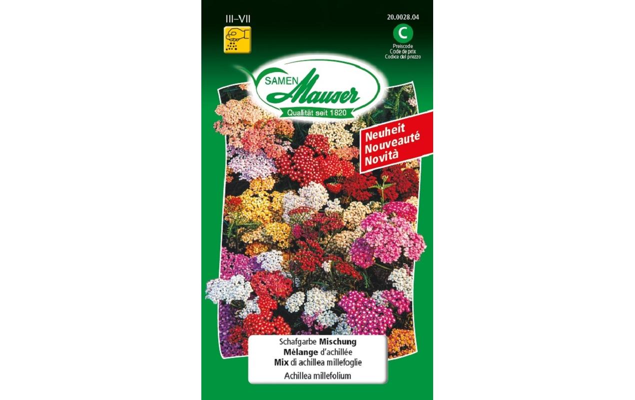 Samen Mauser Samen Schafgarbe, Mischung Samen Mauser Samen Schafgarbe, Mischung