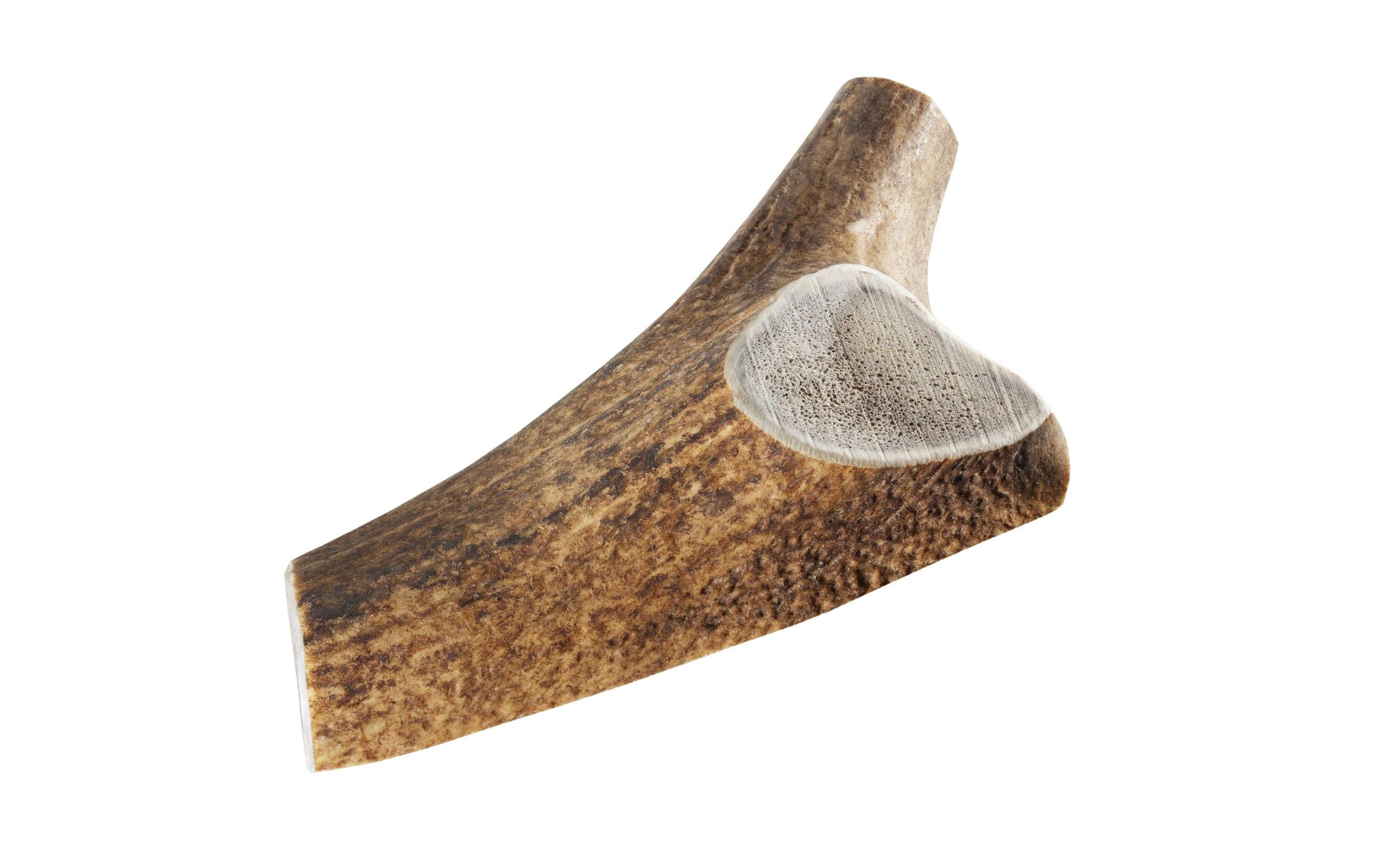 Chewies Rothirsch-Geweihstange XL halb