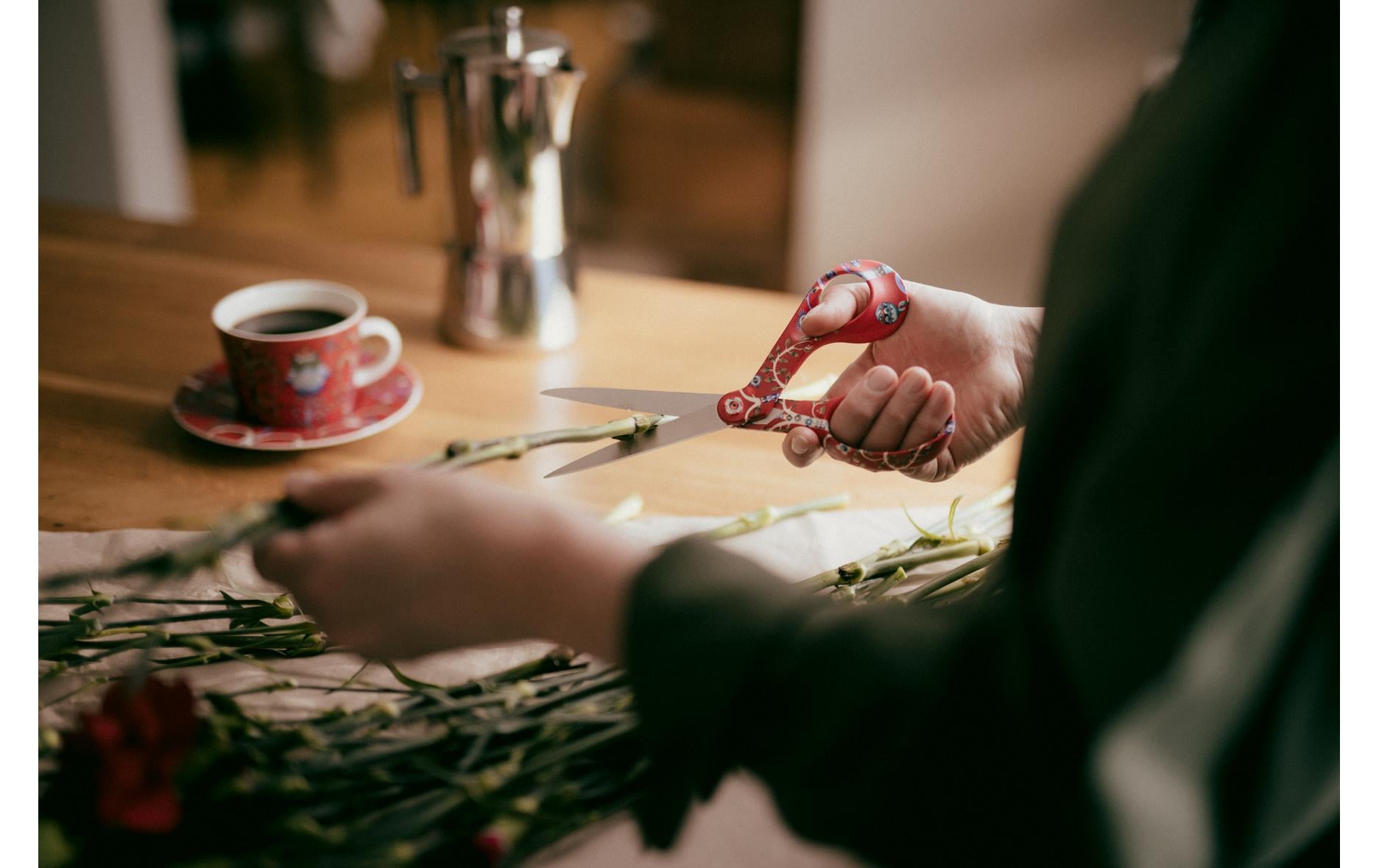 Fiskars Schere Ittala Rot, 21 cm