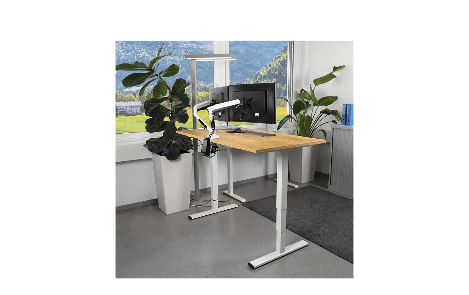 Contini höhenverstellbarer Bürotisch 1.6 x 0.8 m Eiche/Weiss